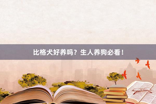 比格犬好养吗？生人养狗必看！
